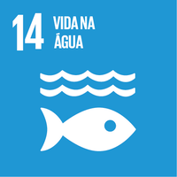 14. Vida aquática